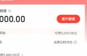 如何判断哪些商家支持白条服务
