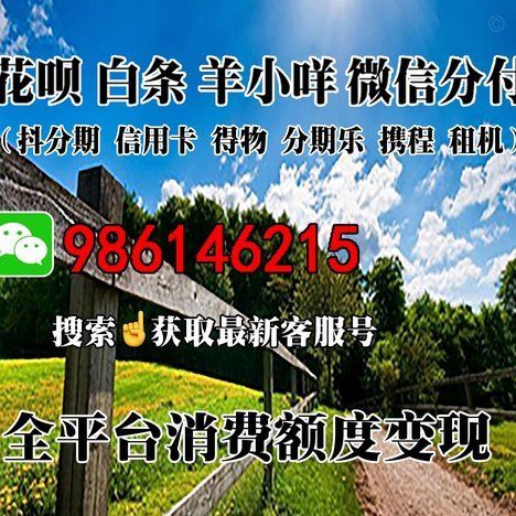白条套取教程