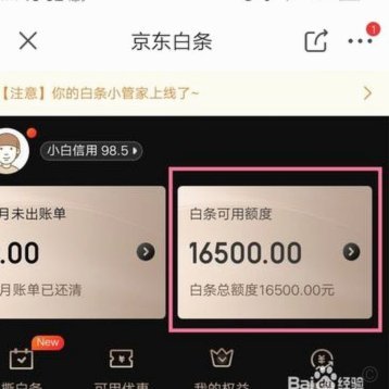 白条高效利用攻略