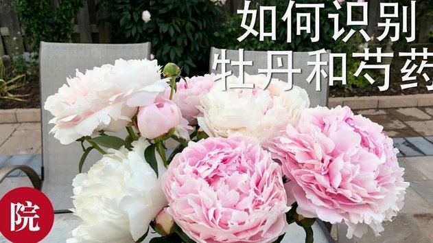 花呗真安全吗？解密其合法性和风险
