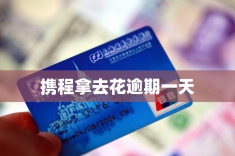 携程拿去花套出来