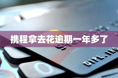 携程拿去花套出来