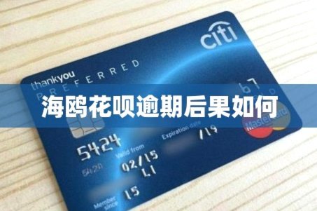 揭秘“海鸥花呗”背后的消费金融生态真相