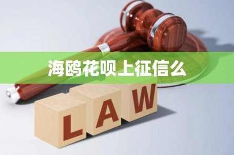 海鸥花呗是什么平台的