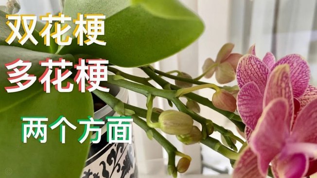 套花呗会被发现吗