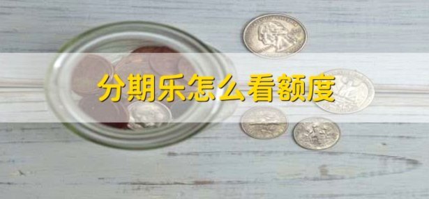 分期乐有额度借不到怎么办