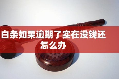 京东白条借款指南：一步步轻松操作