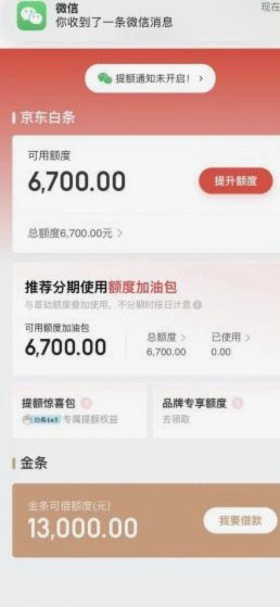 白条加油包有额度但是不能用