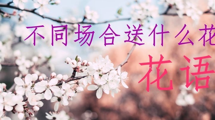 花呗套现要手续费？官方不收，第三方有坑