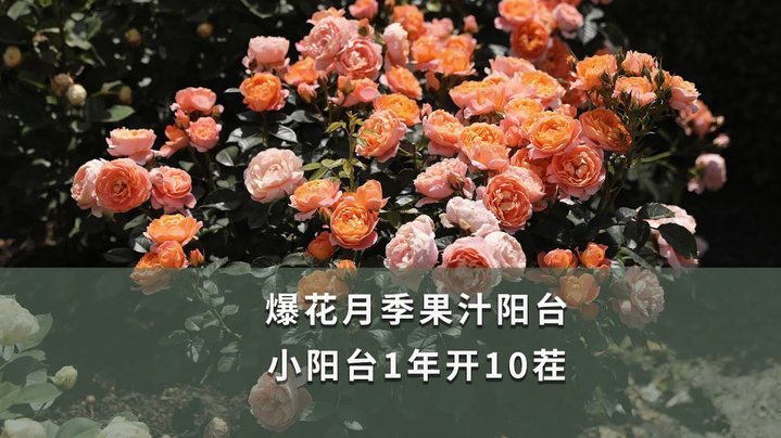 花呗套线要手续费吗