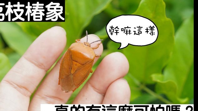 便荔卡套现手续费