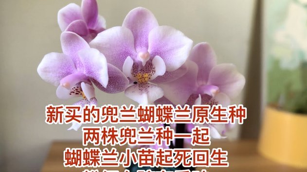 花呗1500套现手续费多少