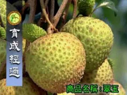便荔卡提现额度如何确定？