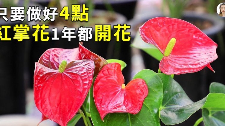携程拿去花怎么还款