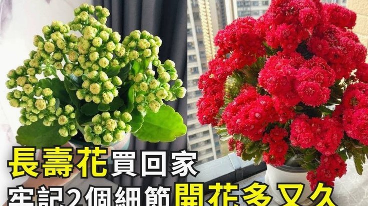 商家没有花呗怎么付款