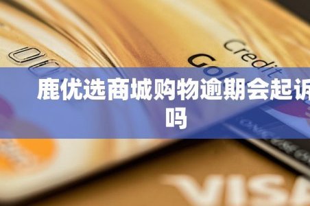 鹿优选还款怎么操作？