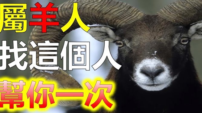 羊小咩商城额度怎么套出来