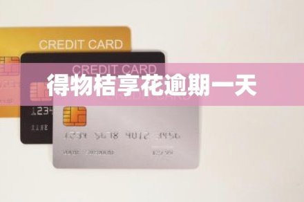 得物借款提现机制揭秘