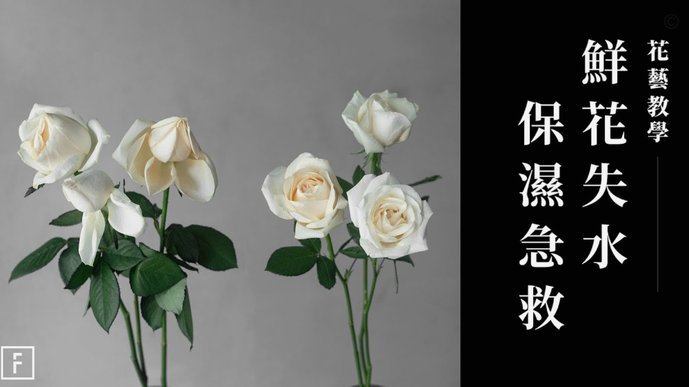 花呗换现等于套现吗？专业视角告诉你真相