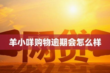 羊小咩不还会怎么样