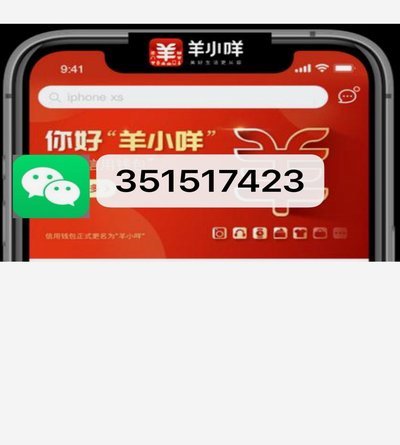 羊小咩不还会怎么样