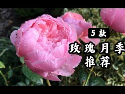 携程“拿去花”如何彻底注销实名账户？流程与注意事项全攻略
