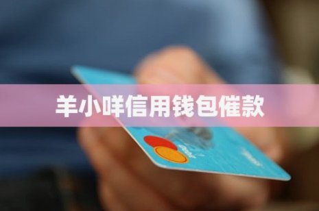 羊小咩借款：轻松上手的申请全攻略