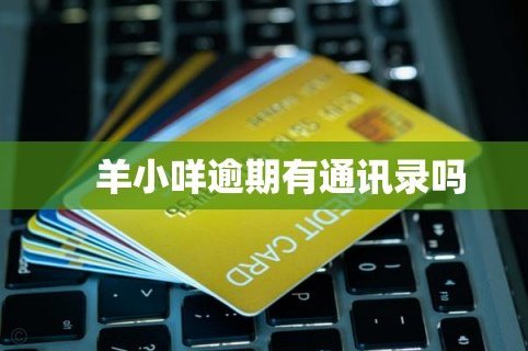 羊小咩借钱怎么申请