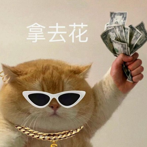 拿去花能套出来吗是真的吗
