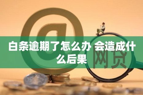 白条逾期打什么电话协商