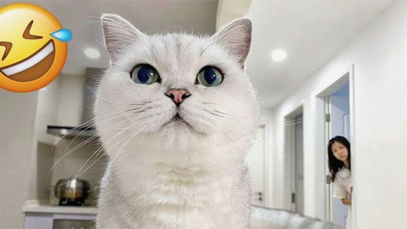 如何关闭花呗天猫秒杀功能？