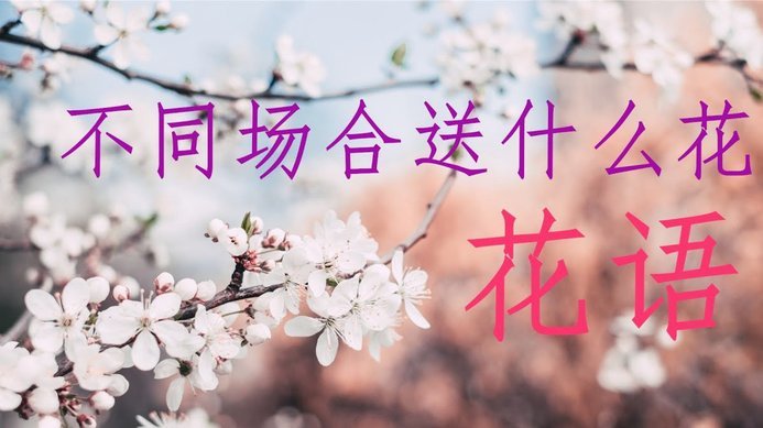 我想套花呗怎么套