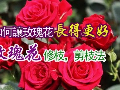 花呗怎么提现出来用？这里有办法