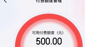 白条付费额度怎么套出来