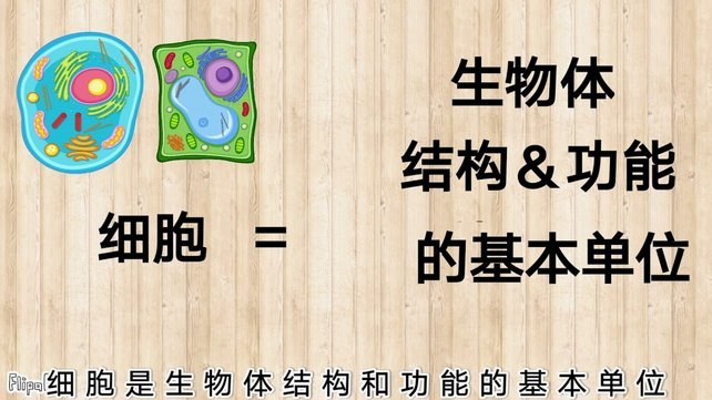便荔卡包能取多少钱？额度怎么算？