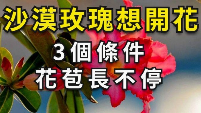 花呗合法吗？投诉指南一览