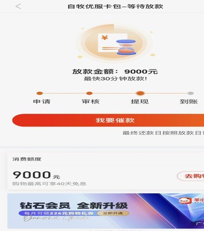 羊卡额度提现：深度解析与优化之道