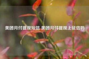 美团月付提现上征信吗