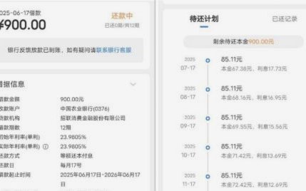 便荔卡包备用金为何逾期？深度解析原因与对策