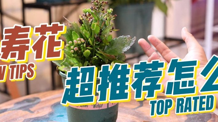 如何安全地使用花呗并规避风险，建立个人财务防御体系