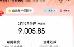 白条支付怎么套出来
