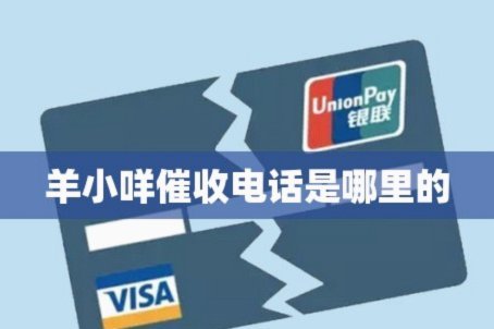 羊小咩还款那些事儿