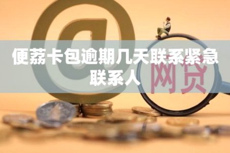 便荔卡包平台容易借钱吗