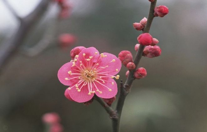 拿去花套现？数字货币交易指南