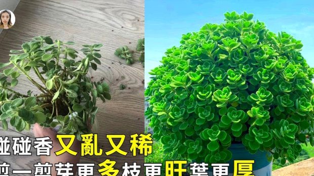 拿去花可以套现么