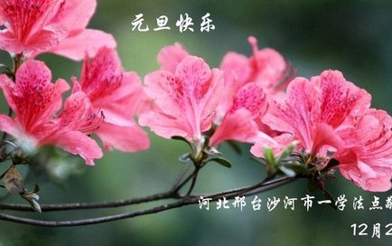 拿去花可以套现么